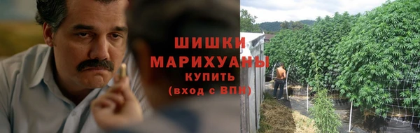 дмт Заводоуковск