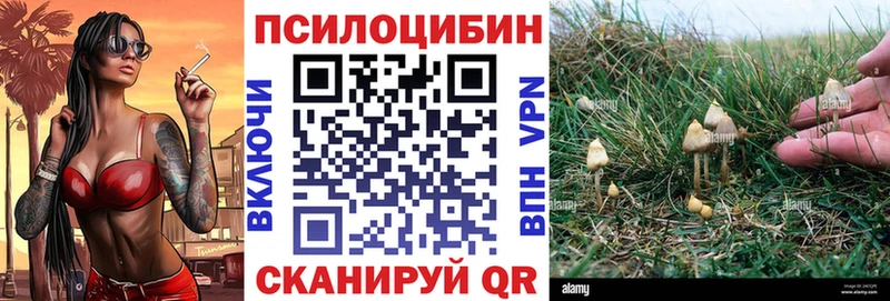 Галлюциногенные грибы MAGIC MUSHROOMS  Купить  Крымск 